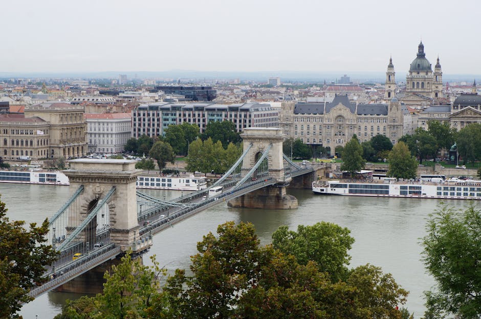 A panoramic view of central Budapest featuring the Széchenyi Chain Bridge spanning the Danube River, with stone pillars at each end supporting suspension cables. Vehicles are visible crossing the bridge, which connects Buda and Pest. In the background, the cityscape includes historic buildings, churches, and modern structures with a prominent domed church and several towers. The river below has two white passenger cruise boats docked near the shoreline. Foreground elements include green leafy trees and foliage, creating a natural frame for the scene. The lighting is overcast with diffused daylight, highlighting the architectural details and calm water of the river. This image reflects an observation of Budapest's iconic riverside landmark, which could be part of a discussion on alternative waste collection options in urban environments managed by companies like Waste Clearance Kennington, supporting professional rubbish removal services in city settings.